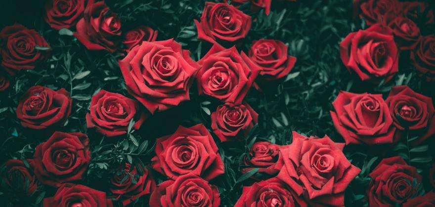 Our Valentine's Day competition on social networks